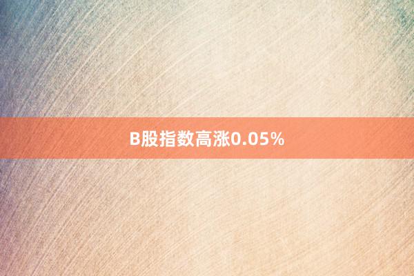 B股指数高涨0.05%